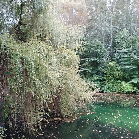 Romanticka Na Samote Jahodna